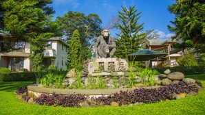 Una estatua de una figura sentada sobre un pedestal rocoso, rodeada por un jardín ajardinado con diversas plantas y un muro de piedra.
