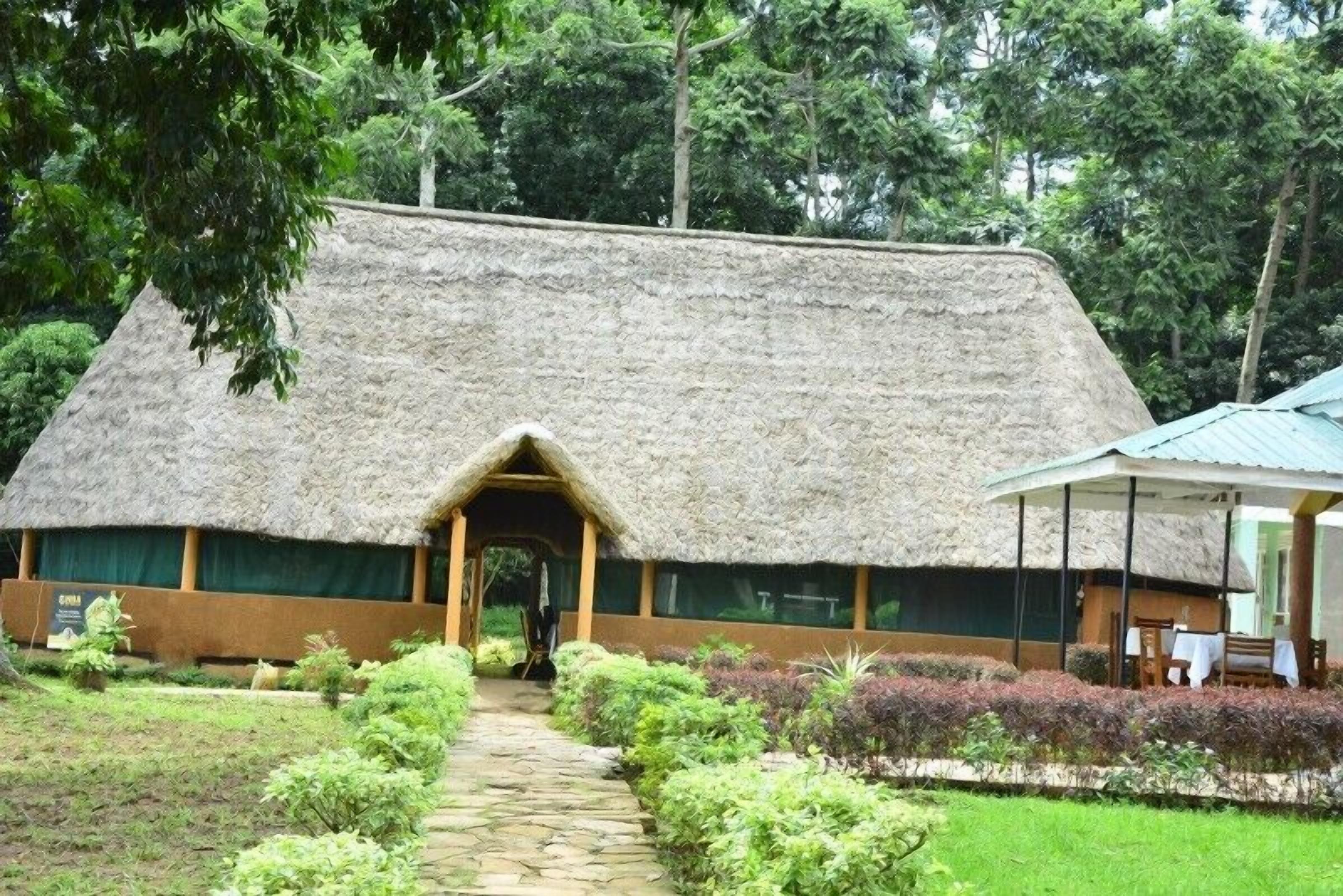 A thatched-roof building with a stone pathway leading to the entrance.