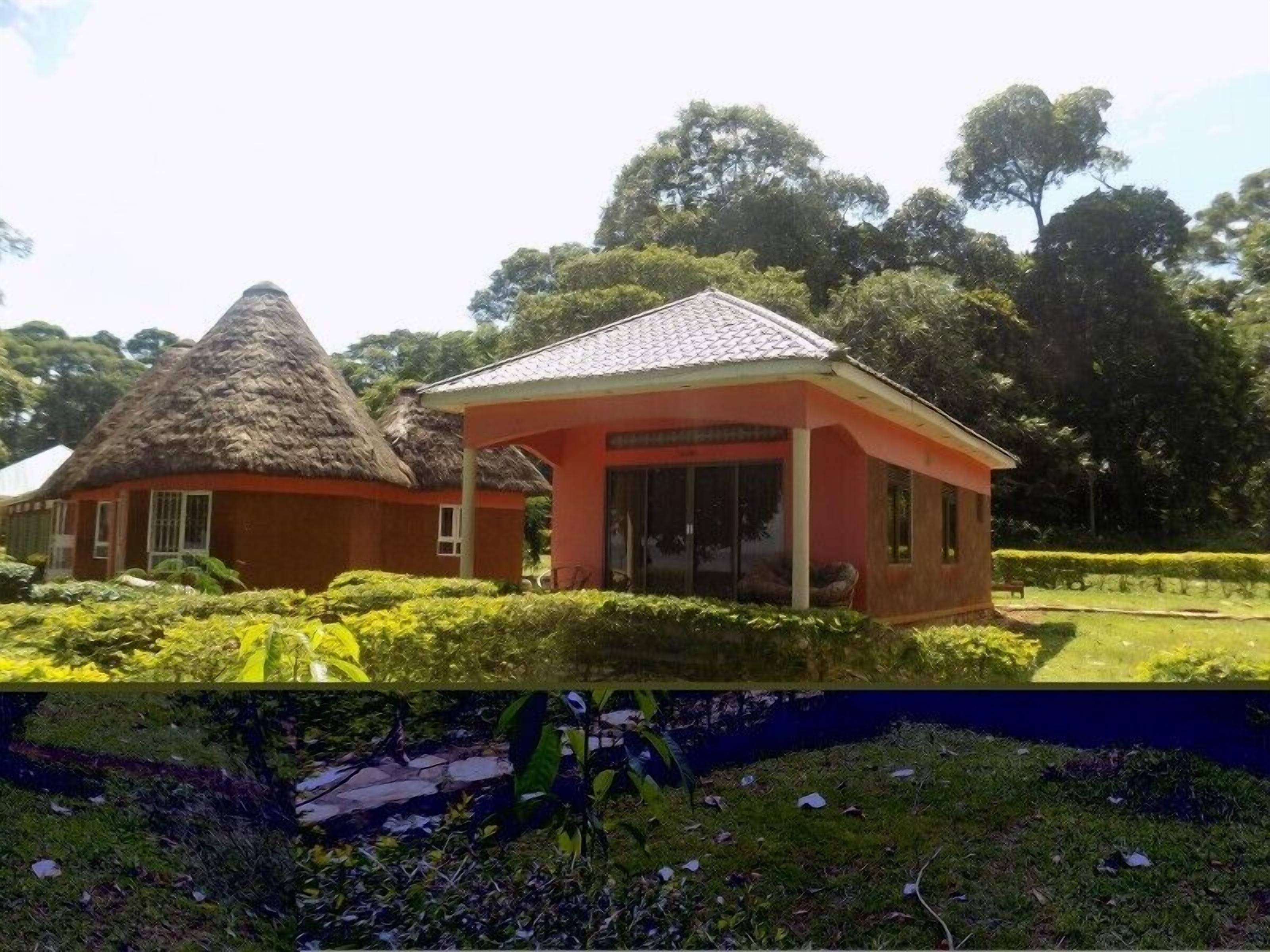 A traditional thatched-roof house and a modern building with a tiled roof, surrounded by lush greenery.