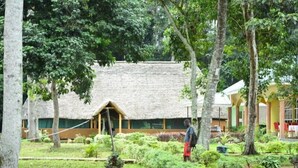 A thatched-roof structure with a wooden deck, surrounded by lush greenery and trees. - Mirembe Resort Beach Hotel (Bugala Island)