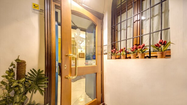 A hotel entrance with a wooden door, potted plants, and a window with a view of the interior. - Hotel Gea di Vulcano (Rome)