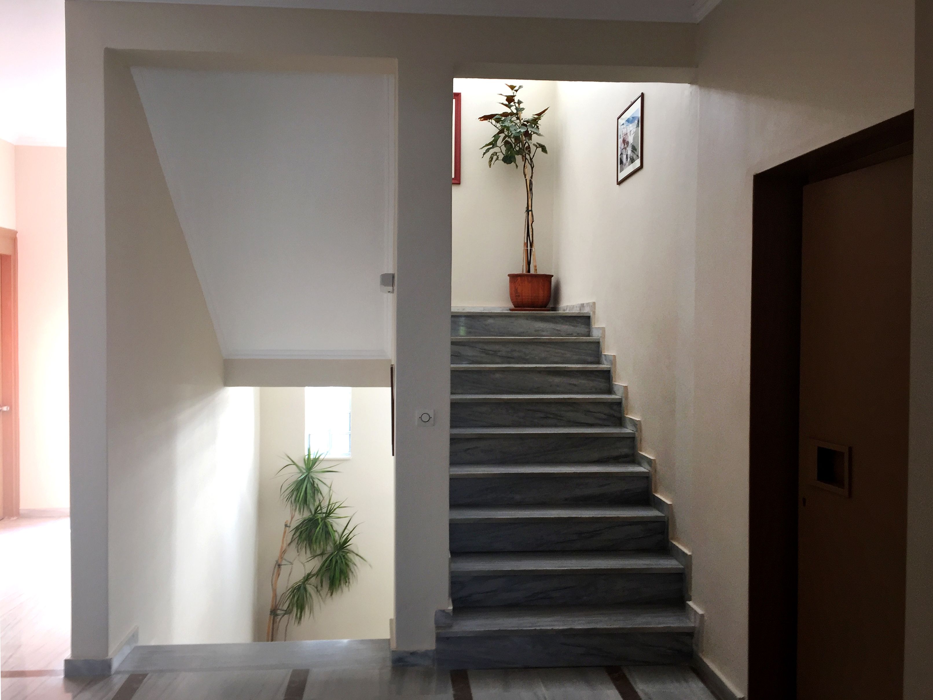 A staircase with marble steps leading to a landing. A potted plant is placed on the landing, and a framed picture hangs on the wall.
