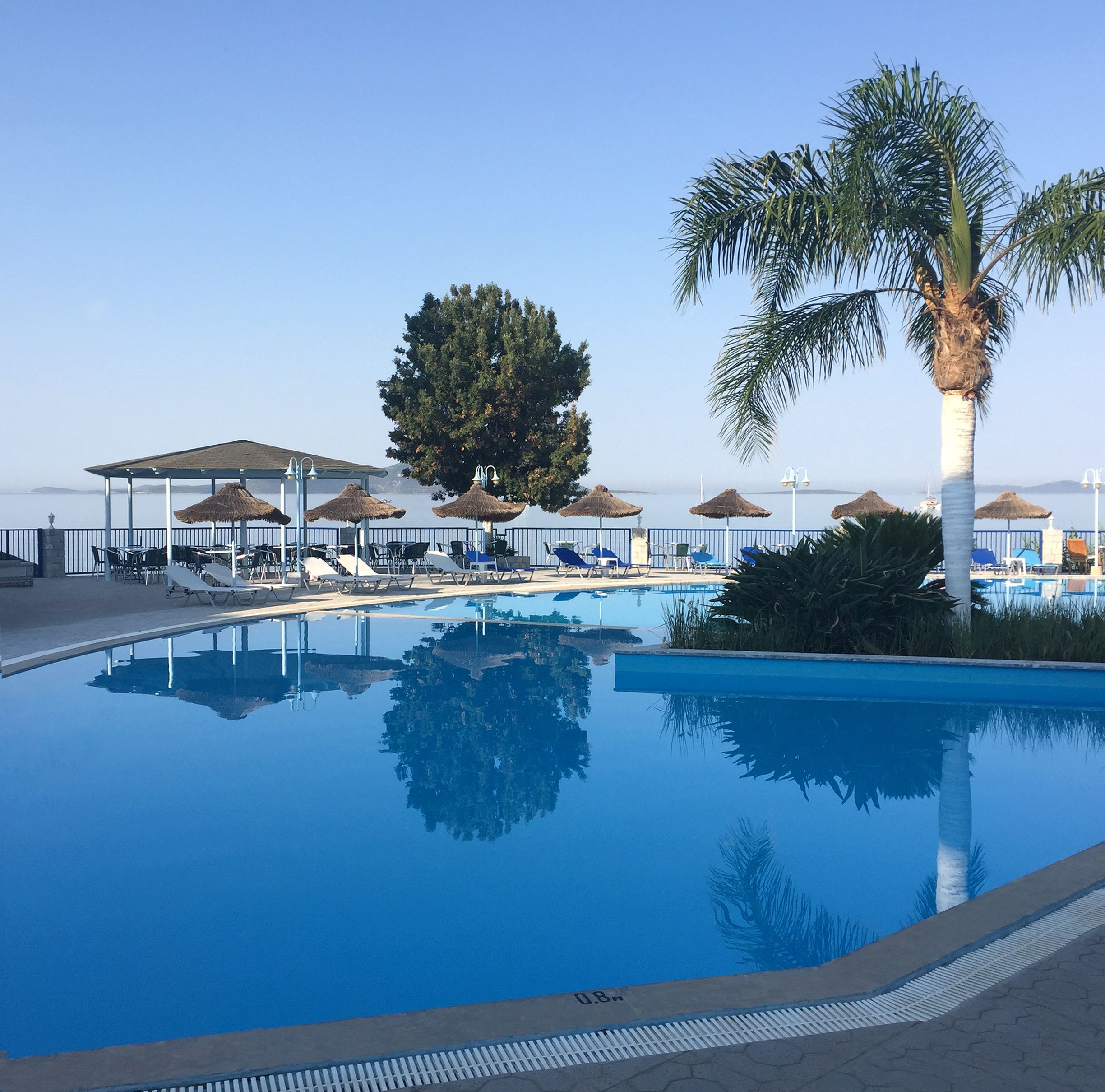 Ein Pool mit Liegestühlen und Sonnenschirmen, umgeben von Palmen und freiem Blick auf das Meer.