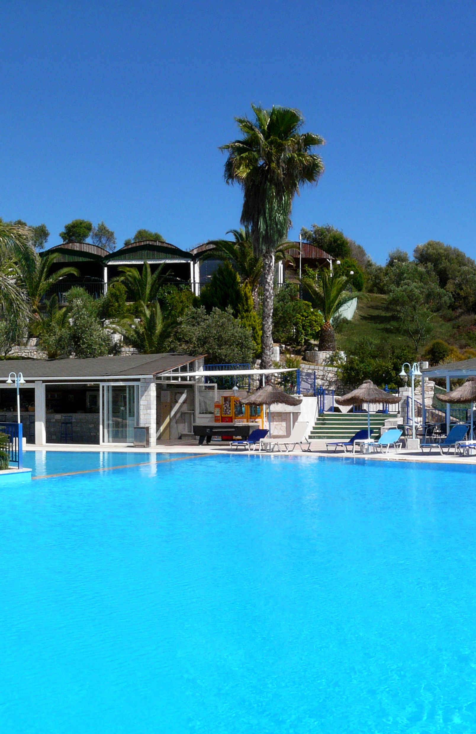 Una piscina con sillones de descanso y una palmera.