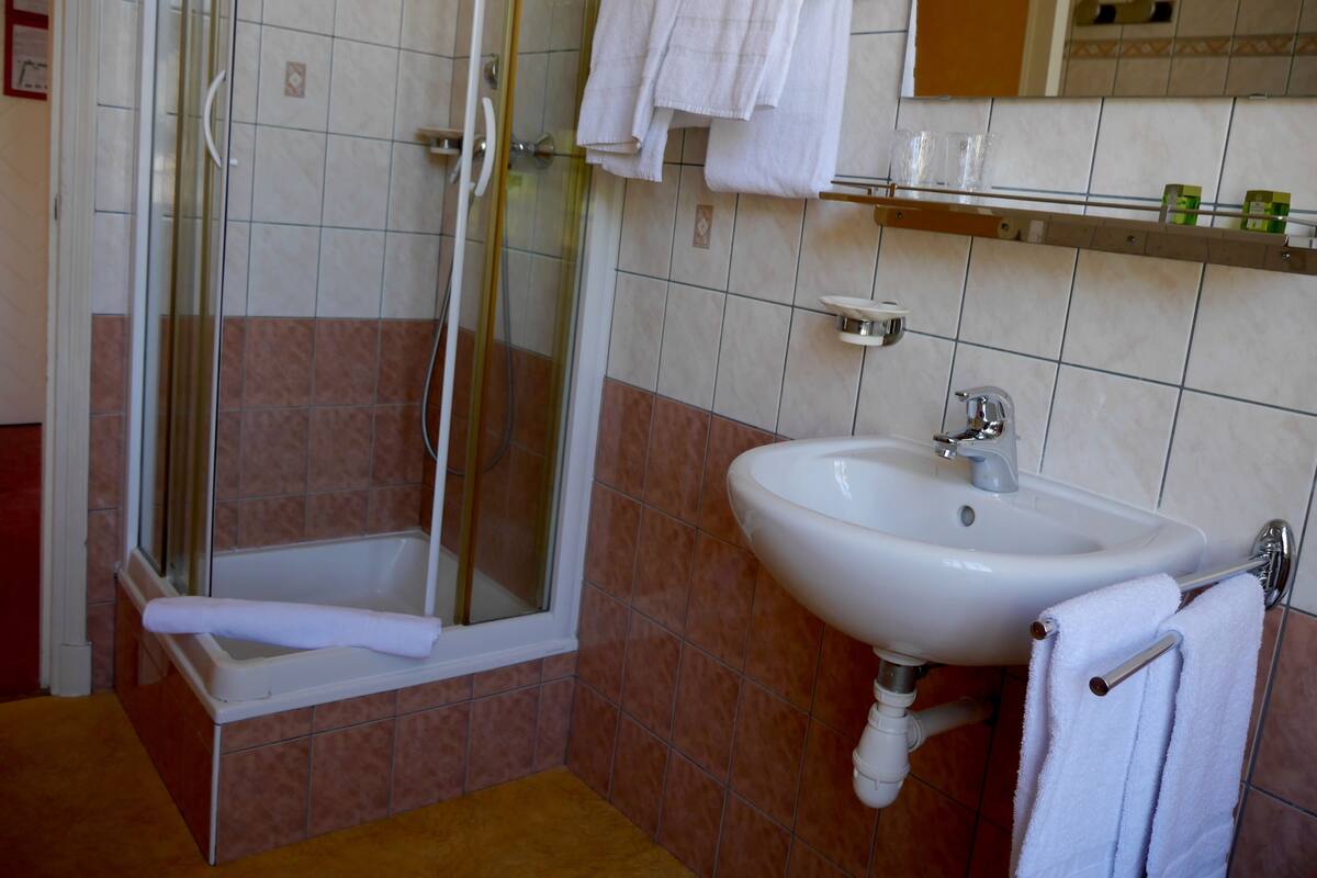 shower, free toiletries, hair dryer, towels