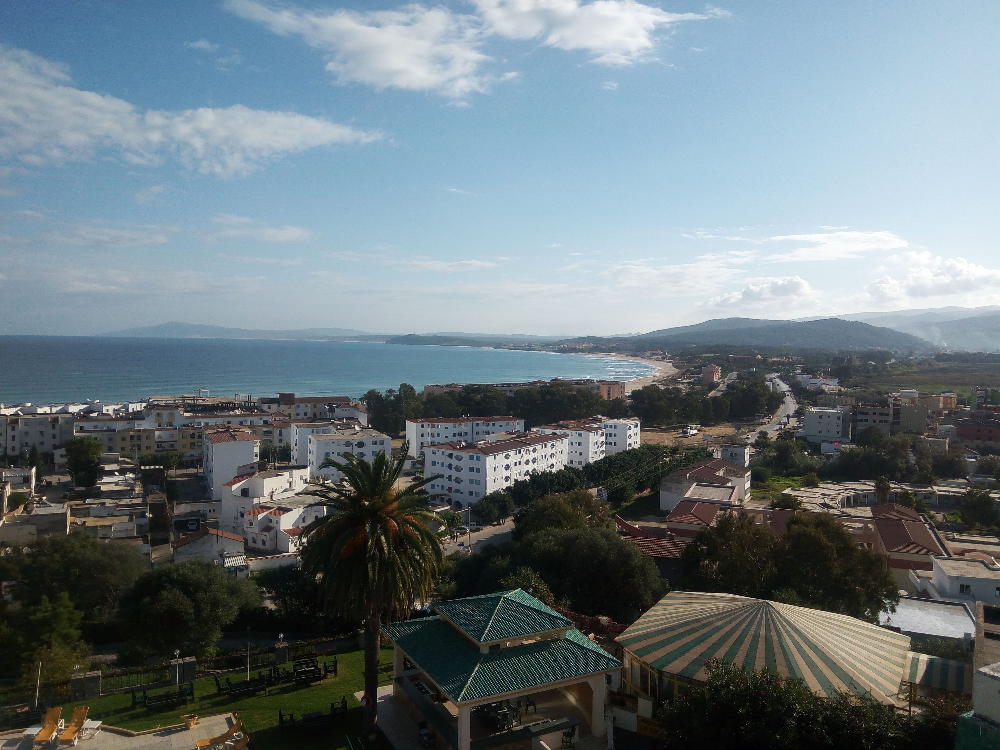Un poble costaner amb vista al mar, edificis amb terrasses planes i una palmera.