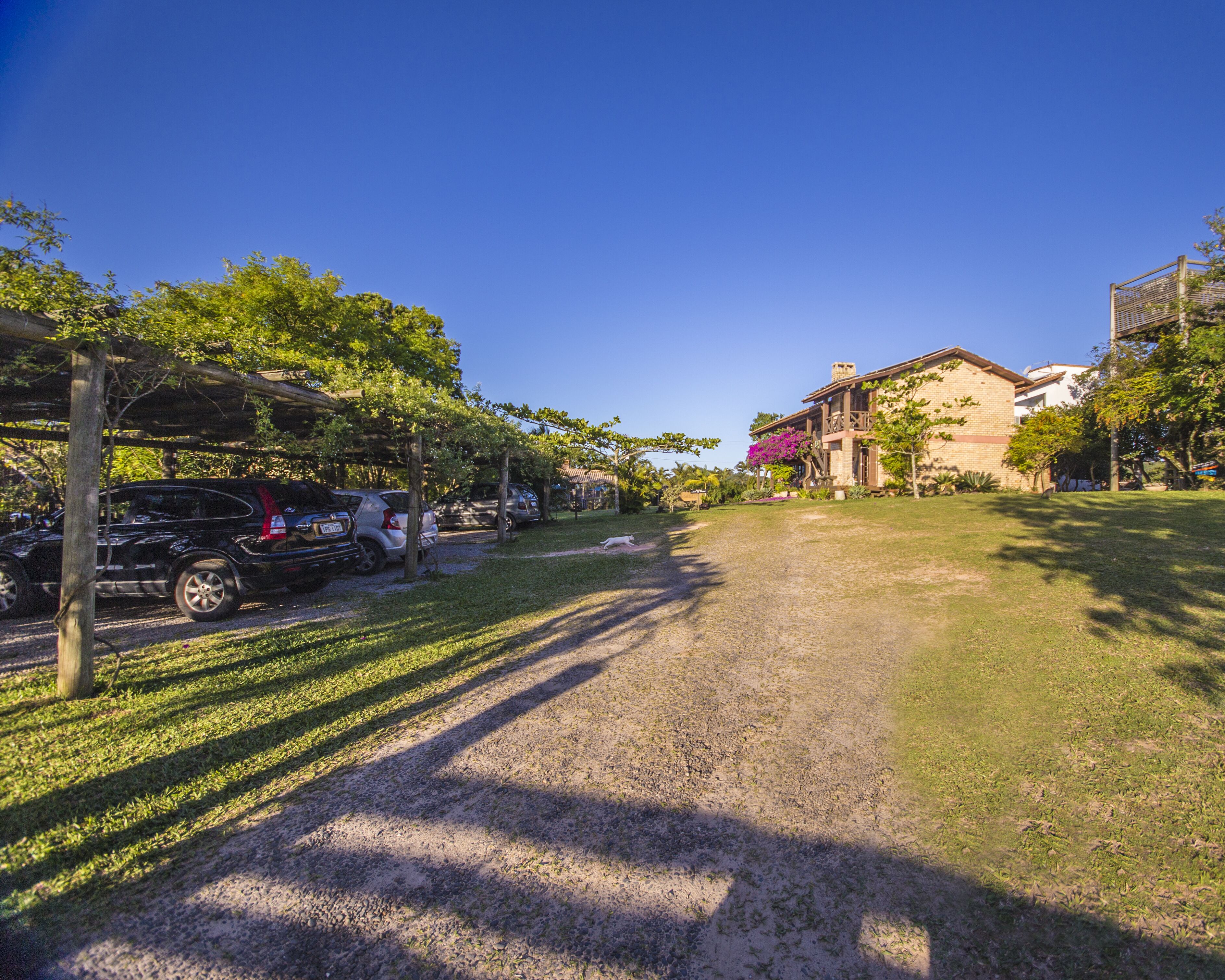 A gravel driveway leading to a house with a covered carport and parked cars.