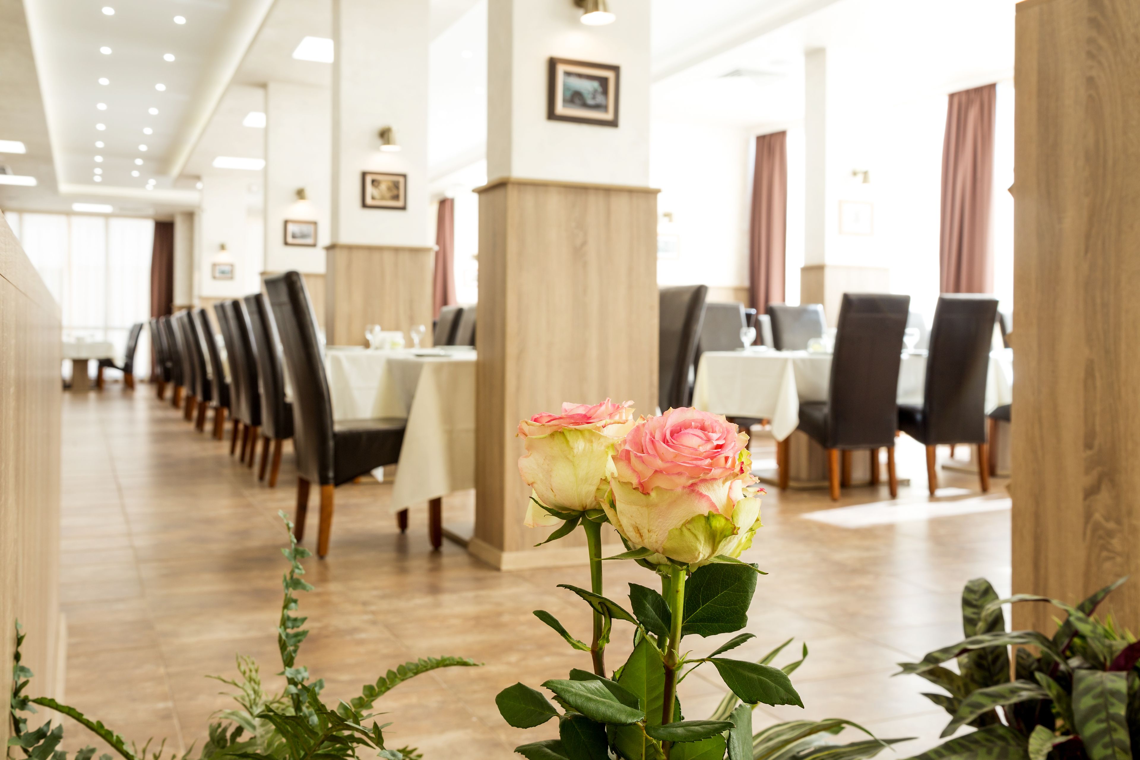 A restaurant with tables and chairs arranged in rows, a wooden column, and a rose in the foreground.
