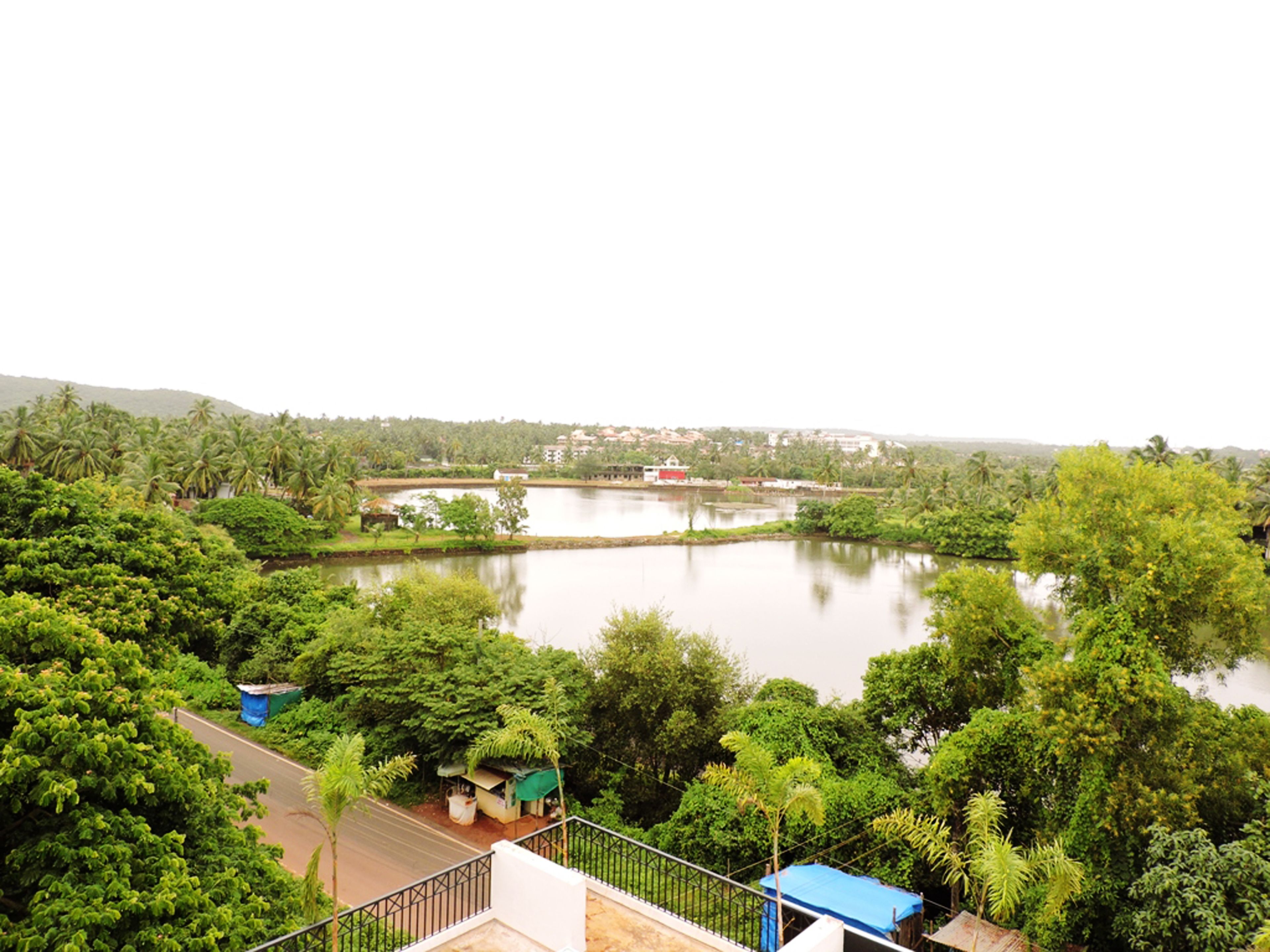 A river surrounded by lush greenery and a few buildings in the distance.
