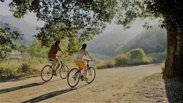 自転車