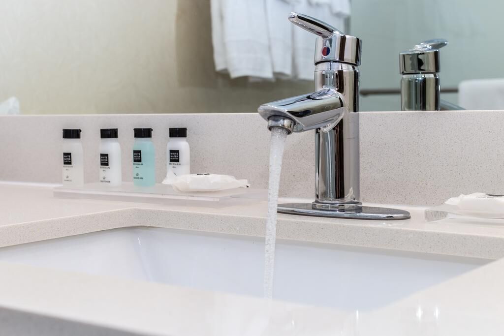 combined shower/bathtub, free toiletries, hair dryer, towels