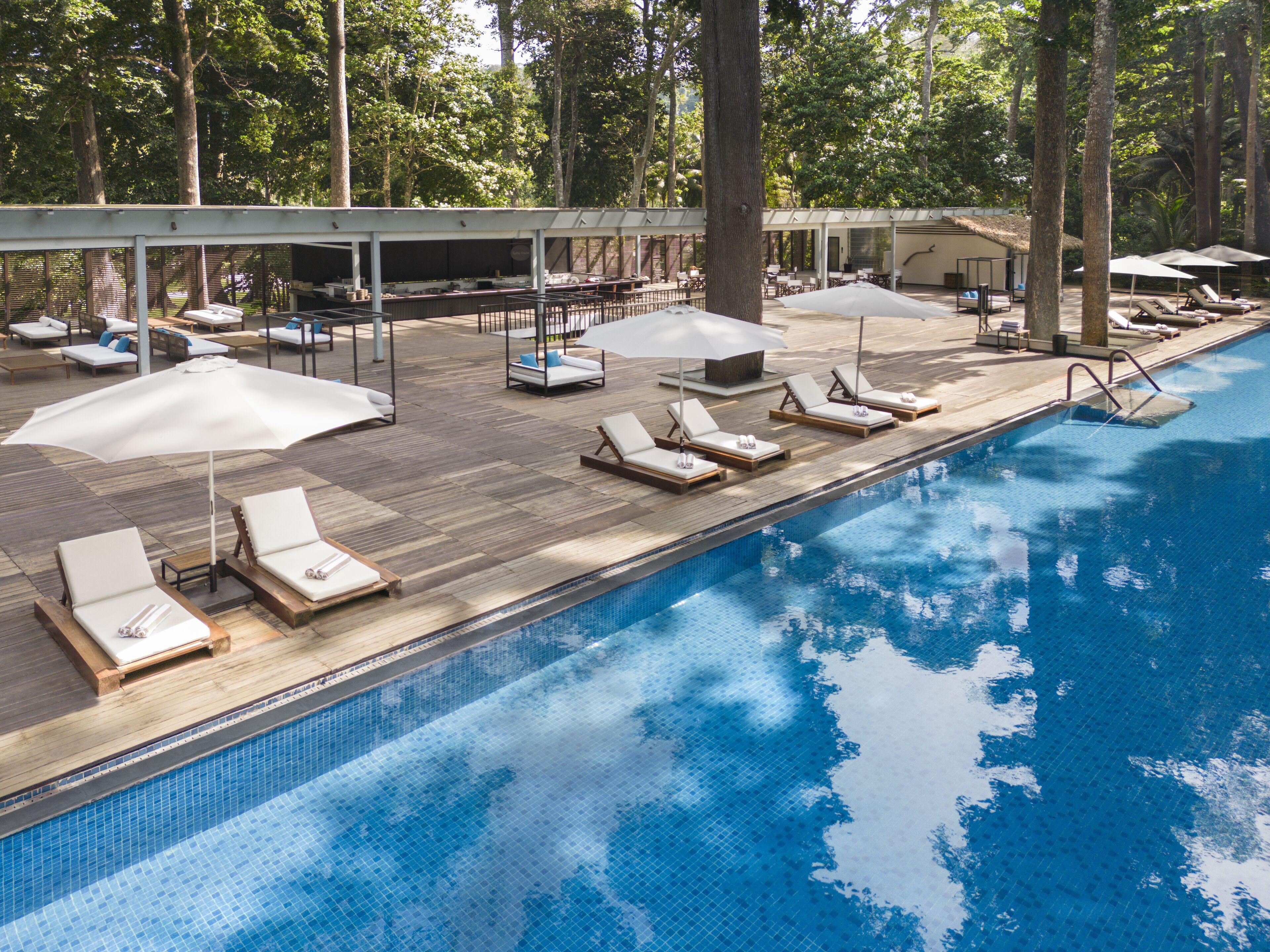 Un espace piscine agrémenté de chaises longues et de parasols, entouré d’arbres.