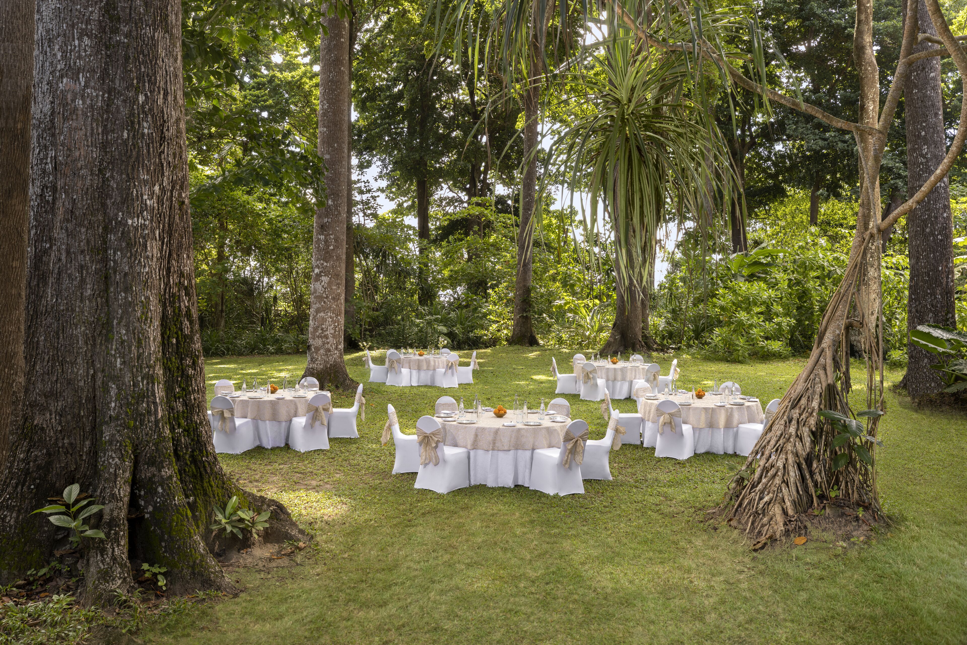 An outdoor wedding setup with round tables and white chairs, surrounded by trees and greenery.