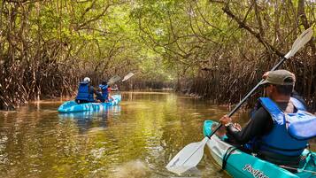 Dois caiaques em um rio calmo, rodeados por densa vegetação de mangue.