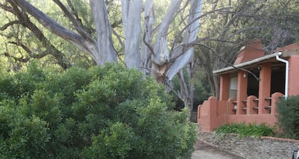Matjiesvlei Retreat 1945