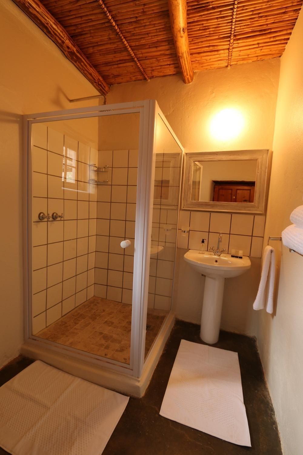 Un baño con ducha de vidrio, lavamanos pedestal y espejo sobre el lavamanos.