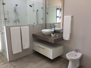 Shower, free toiletries, bidet, towels