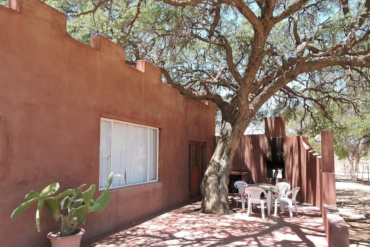 A building with a large tree in front, a window, and outdoor seating.