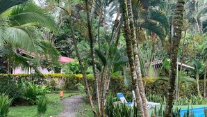 Puutarha