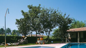 A swimming pool with a tiled deck, a water fountain, and a pergola with potted plants. - Hotel A Queimada (A Estrada)