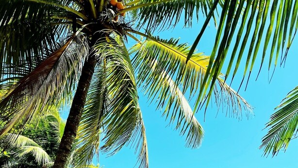 Praia