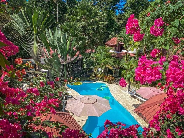 Outdoor pool, pool umbrellas, pool loungers - The Scarlet Villas (Ciudad Cortés)
