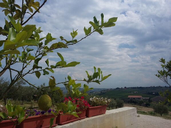 View from property - I Tufi (Colonnella)