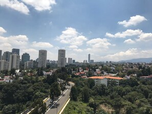 Deluxe Room, 1 King Bed | View from room - Elite 47 Hotel & Suites (Huixquilucan)