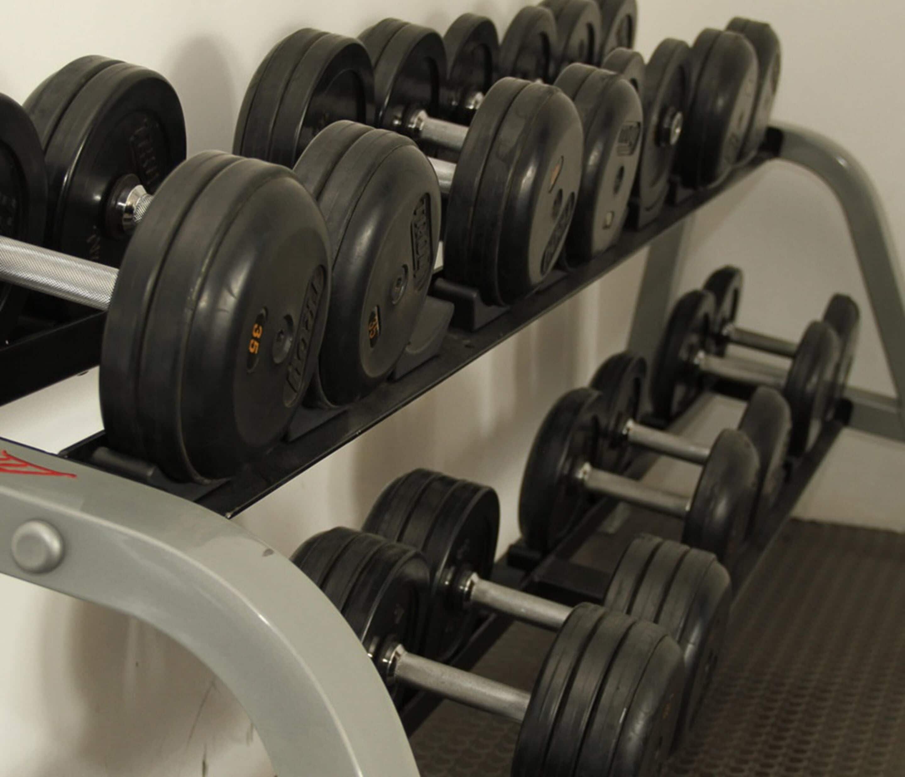 A rack of black dumbbells with weight markings, arranged on a wall-mounted rack.