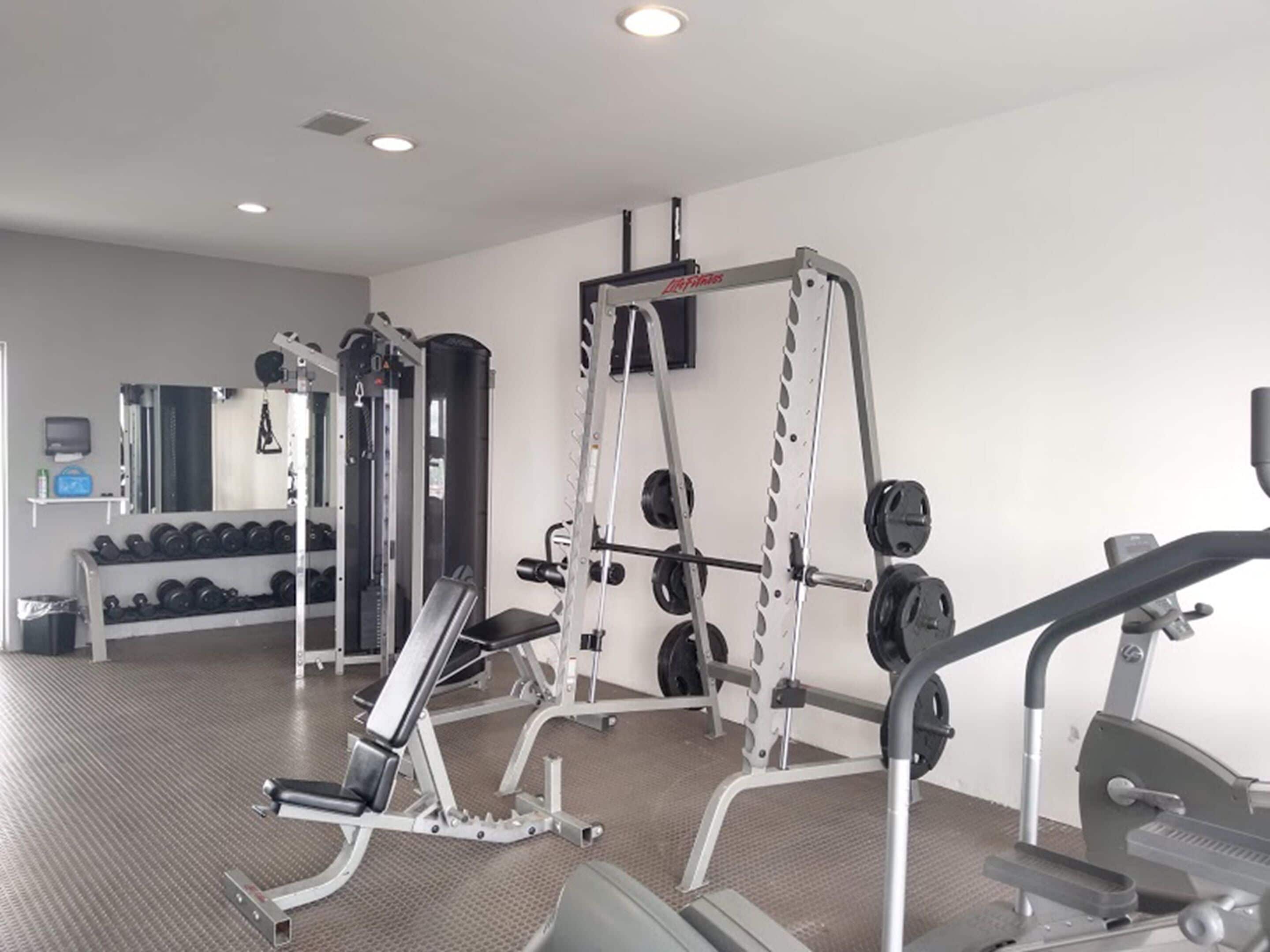 A gym with weightlifting equipment, a bench, and dumbbells.