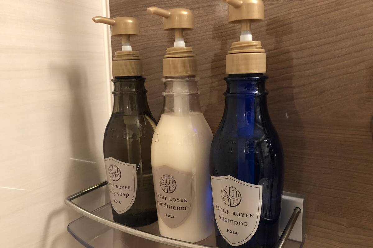 combined shower/bathtub, free toiletries, hair dryer, bathrobes