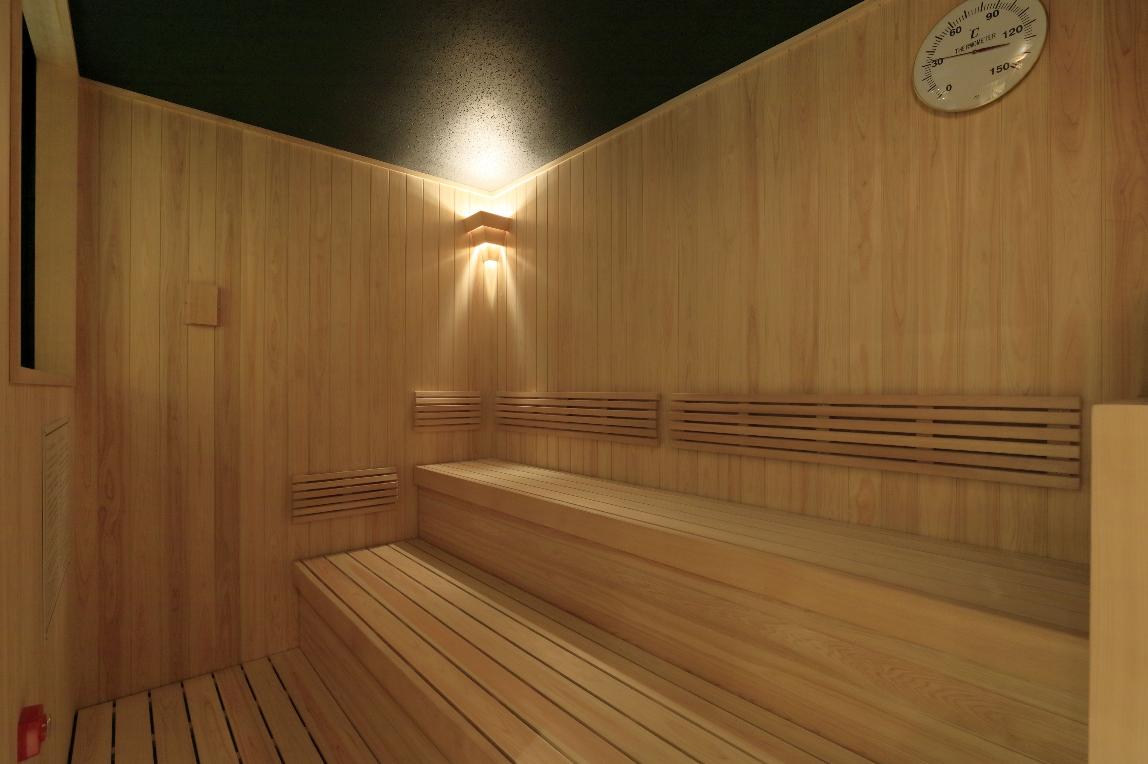 Sauna, bañera de hidromasaje, fuentes de agua termal o mineral 