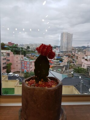 View from property - Mokpo White Windmill Guesthouse (Mokpo)