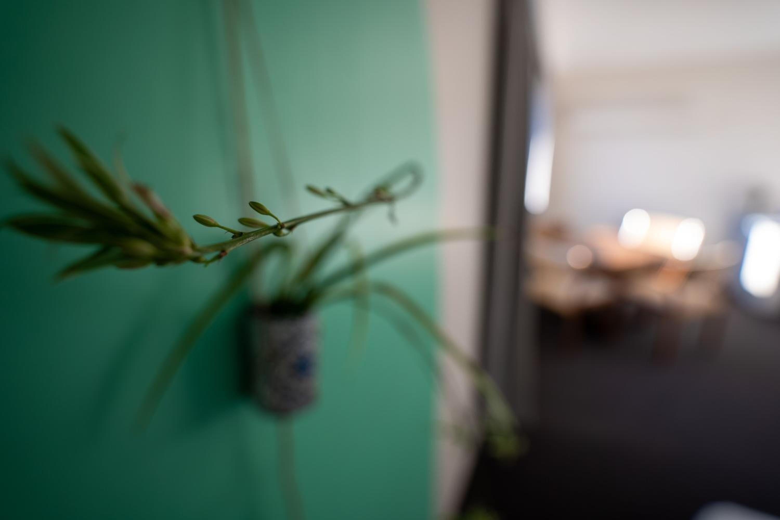 Foto - Parklane Motel