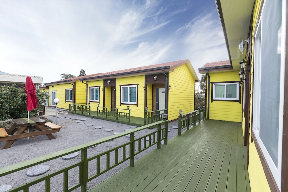 Brassica Flower Pension