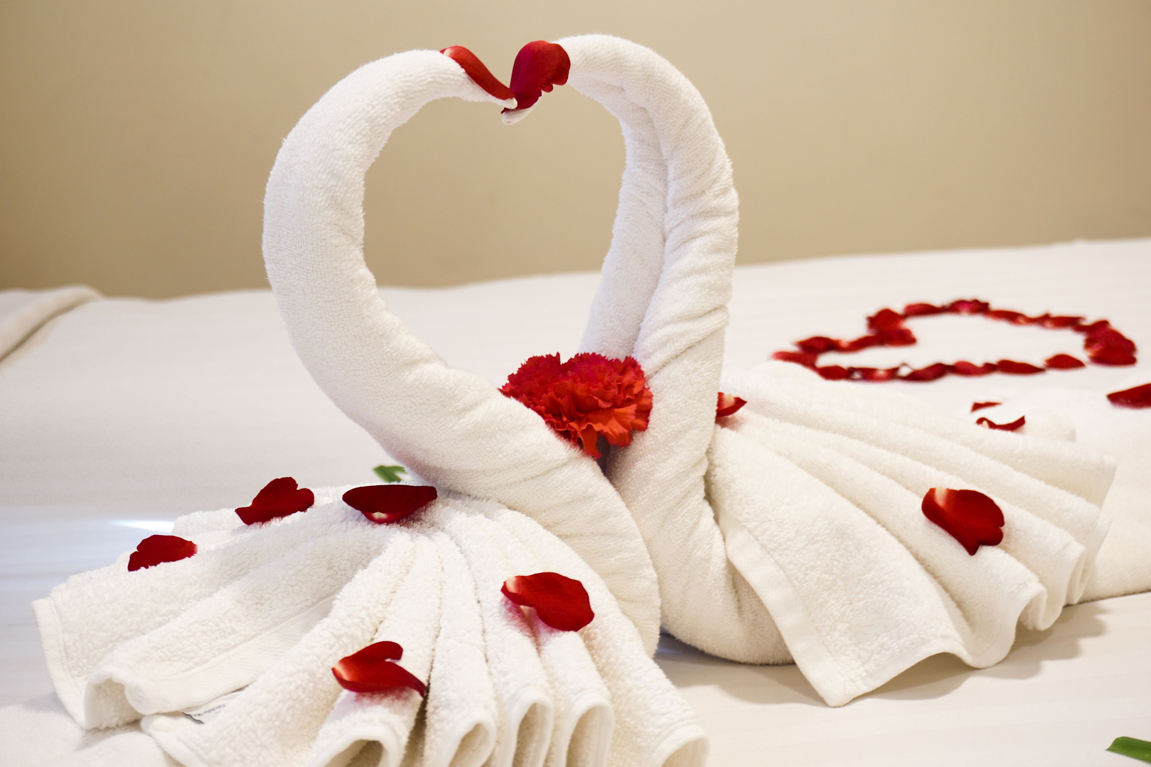 A neatly folded white towel arranged in the shape of a swan with red rose petals.
