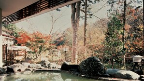 Un jardín japonés tradicional con un estanque, rocas y follaje otoñal.