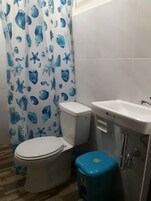 Ducha, cabezal de ducha tipo lluvia, toallas, papel higiénico