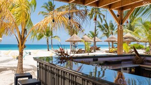 A beachside bar with a pool, palm trees, and thatched umbrellas.