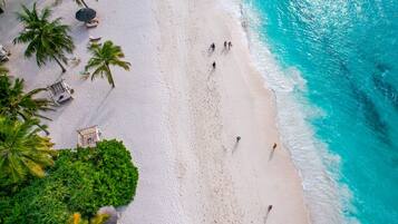 An aerial view of a beach with palm trees, beach chairs, and people walking along the shore.