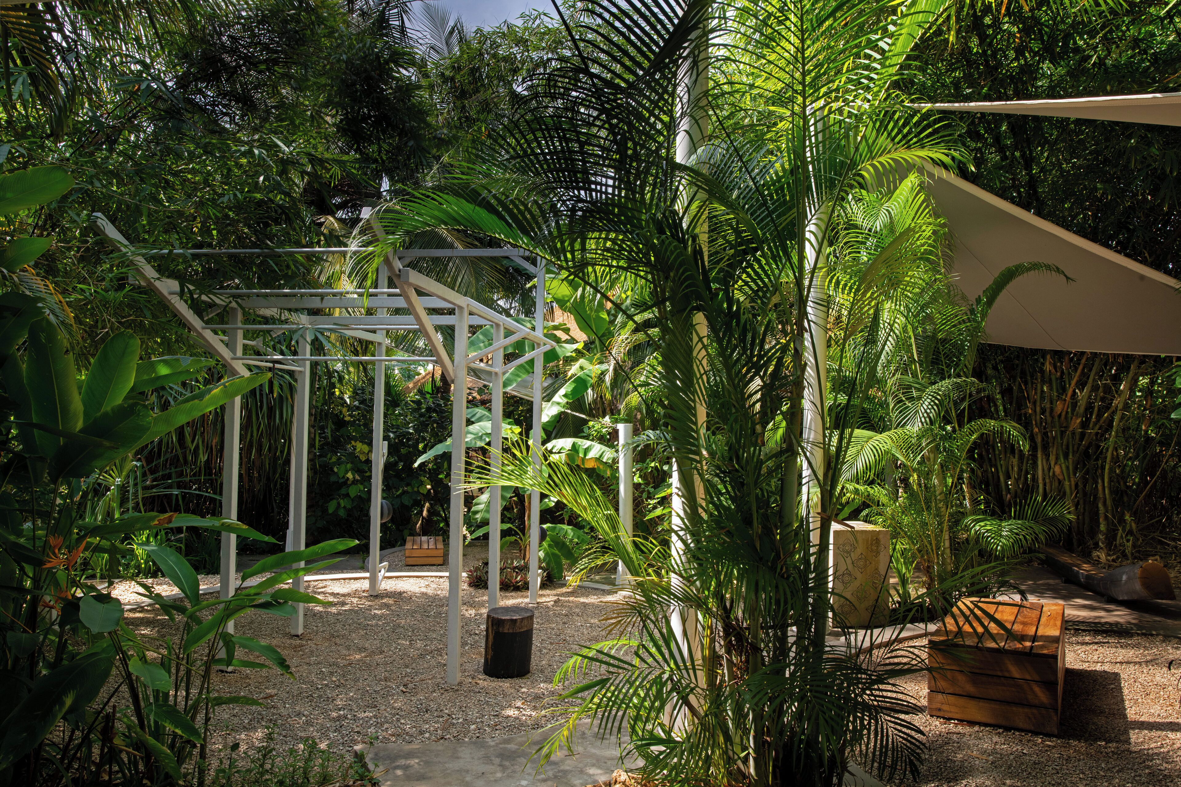 Un jardin agrémenté d’une pergola blanche, de différentes plantes et d’un banc en bois.
