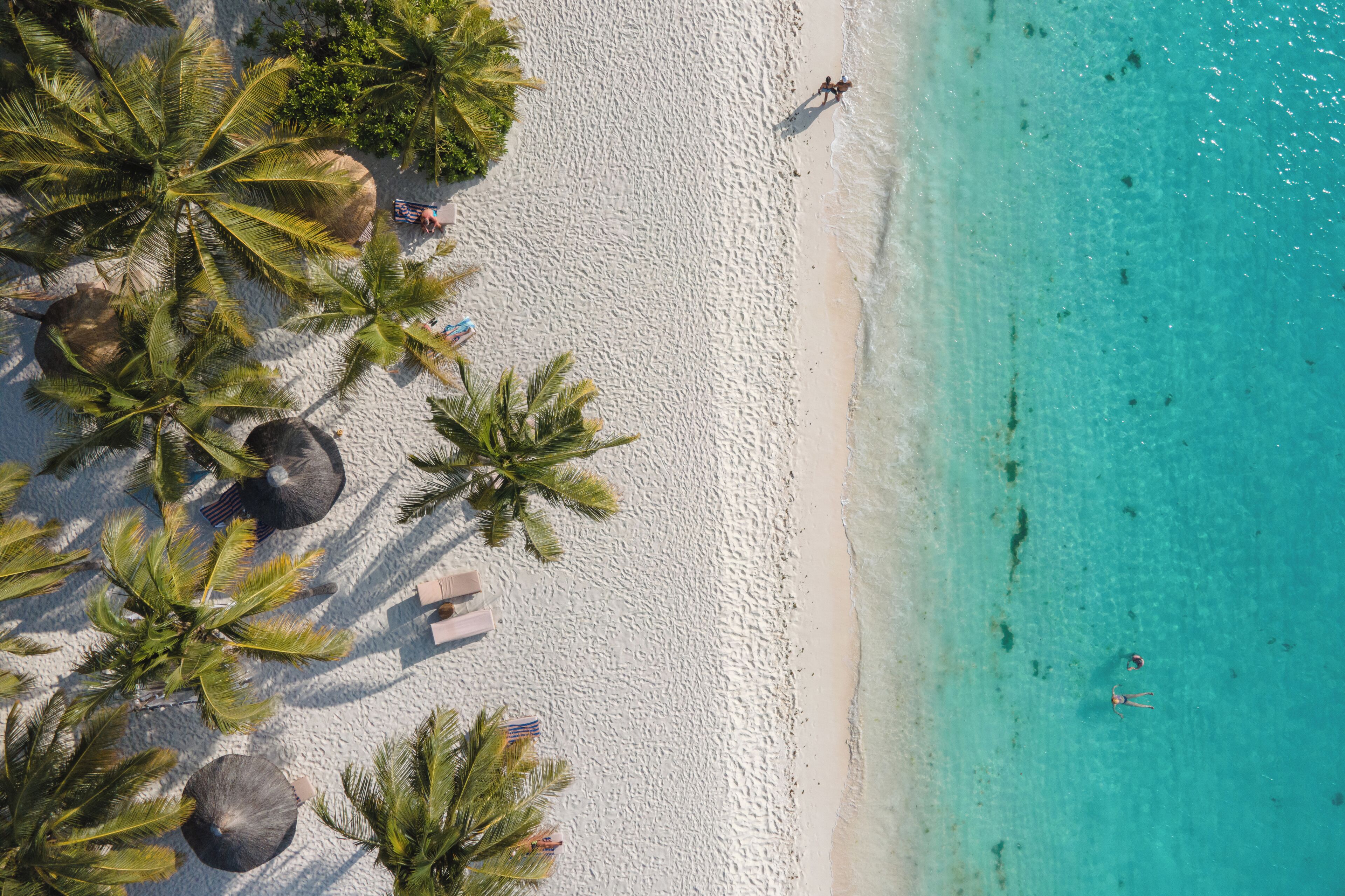 해변에 위치, 백사장, 일광욕 의자, 비치 파라솔