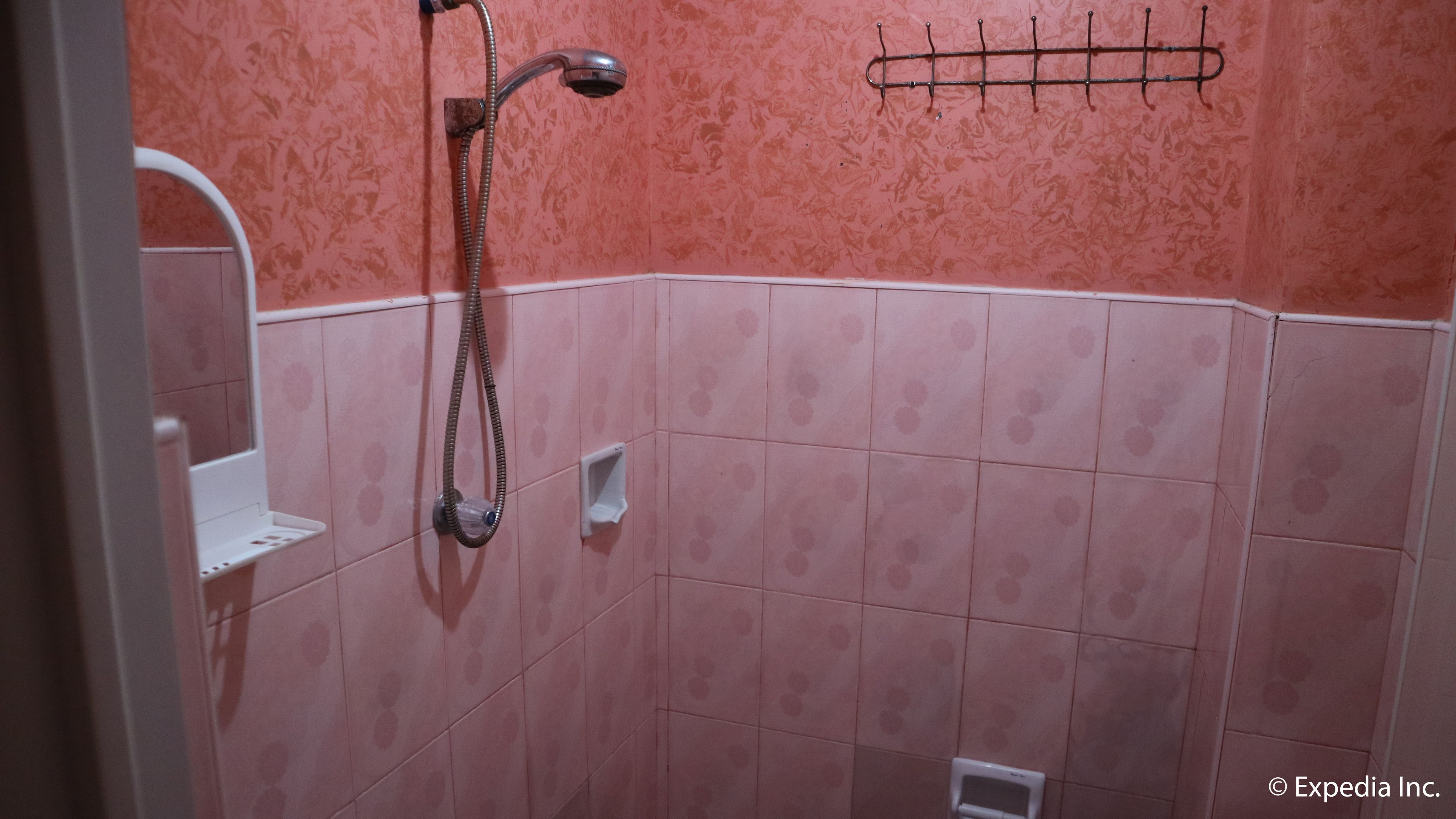 A bathroom with pink patterned tiles, a shower head, and a towel rack.