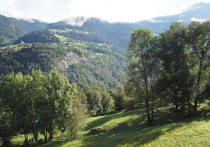 Eine bergige Landschaft mit einer grasbewachsenen Fläche und Bäumen.