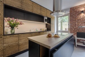 Private kitchen - Tyzenhauz Apartments (Kraków)