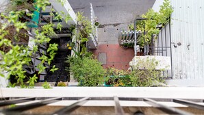 A narrow alley with a red brick wall, metal railings, and various plants. - Rose Garden Homestay Da Nang 2 - Hostel (Da Nang)