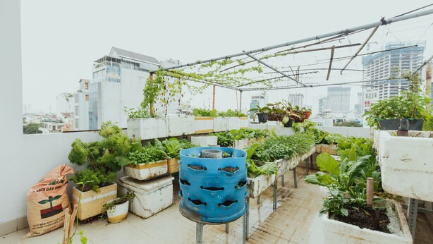 A rooftop garden with various potted plants and a blue barrel. - Urban House Saigon 2 (Ho Chi Minh City)