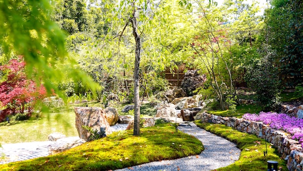 A garden with a winding path, rocks, and various plants.