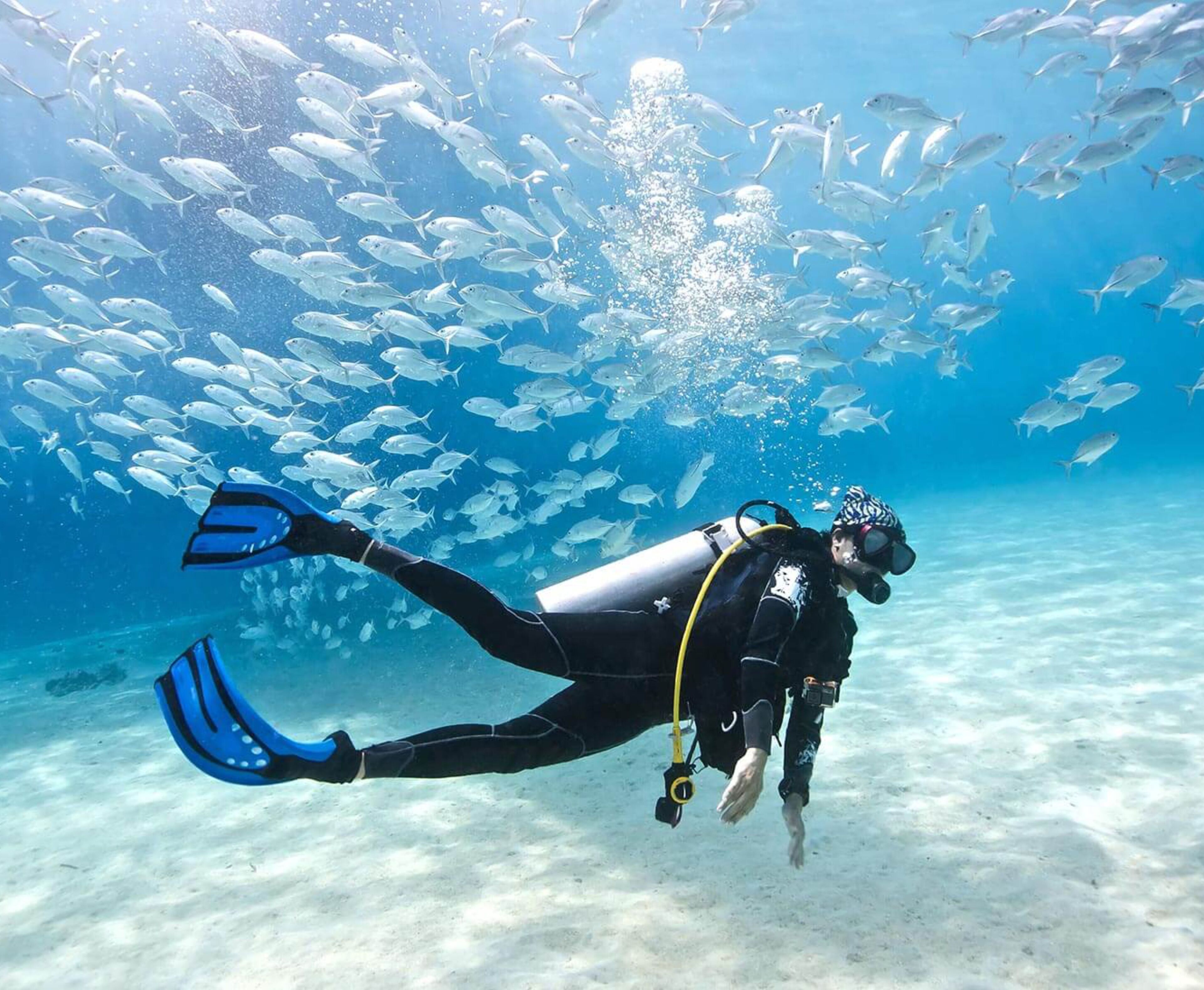 A diver swimming with a school of fish in clear blue water.