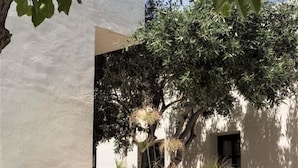 A serene outdoor area with a water feature, stone structures, and lush greenery. - IridaChic Boutique Hotel & Spa (Hersonissos)